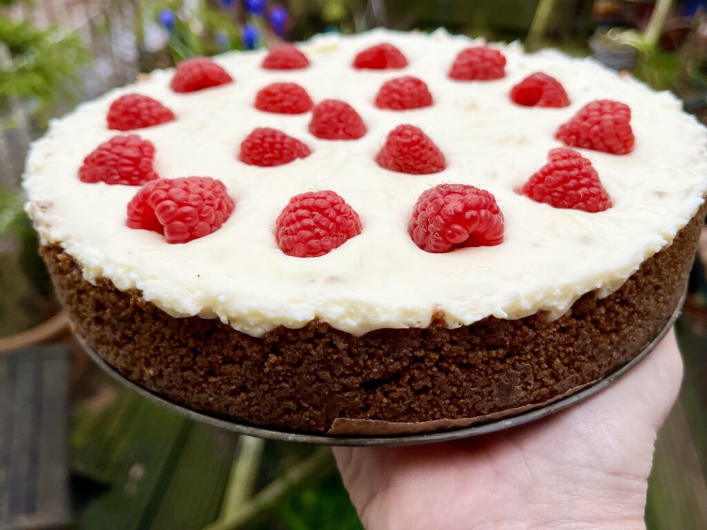 cheesecake met limoen, frambozen en witte chocolade