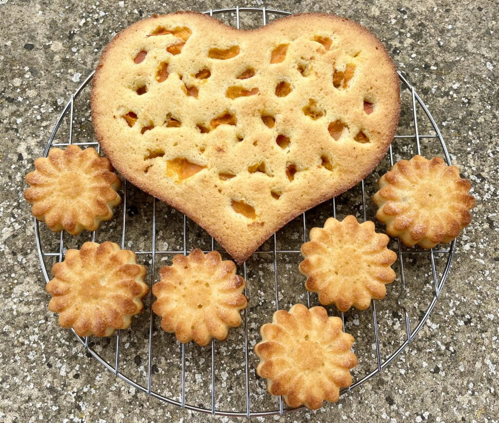 abrikozen|amandel|citroen taart en bloemencakejes